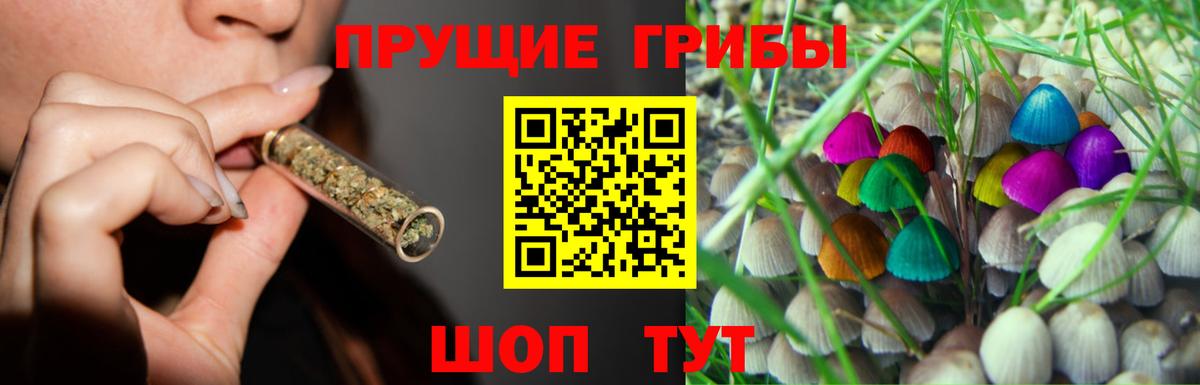 Псилоцибиновые грибы Magic Shrooms  Вход с VPN  Кострома 
